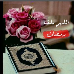 Meet your Posher, Tasnim